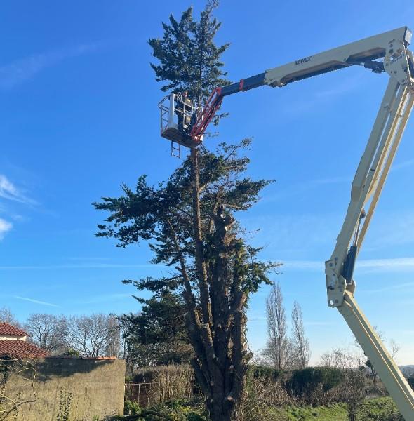 élagueur Rouans