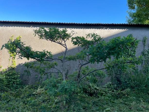 paysagiste écologique