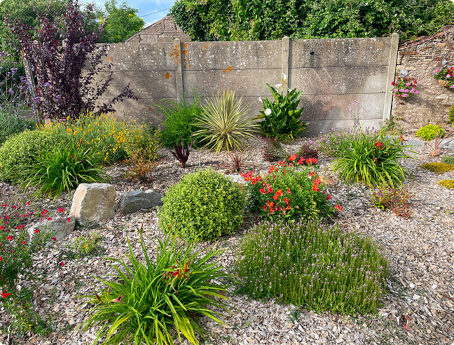 interventions maîtrisées pour les arbres et les végétaux